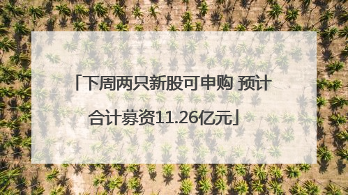下周两只新股可申购 预计合计募资11.26亿元