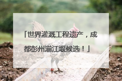 世界灌溉工程遗产，成都彭州湔江堰候选！