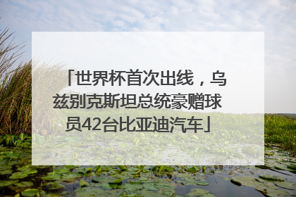 世界杯首次出线，乌兹别克斯坦总统豪赠球员42台比亚迪汽车