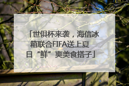 世俱杯来袭，海信冰箱联合FIFA送上夏日“鲜”爽美食搭子