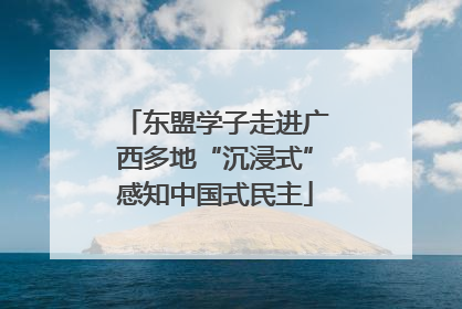东盟学子走进广西多地“沉浸式”感知中国式民主
