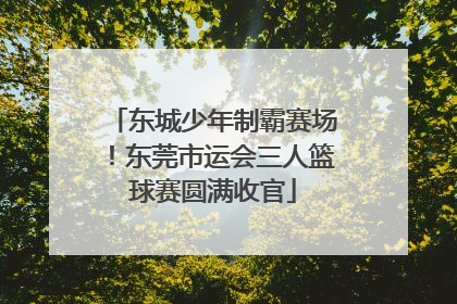 东城少年制霸赛场！东莞市运会三人篮球赛圆满收官