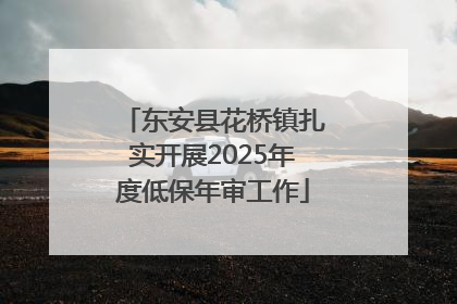 东安县花桥镇扎实开展2025年度低保年审工作