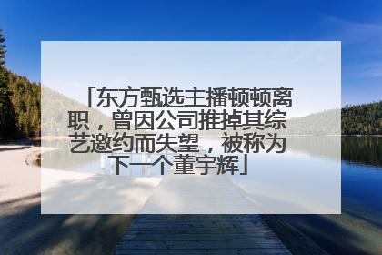 东方甄选主播顿顿离职，曾因公司推掉其综艺邀约而失望，被称为下一个董宇辉