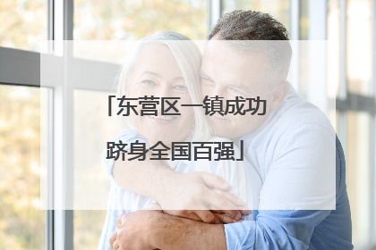东营区一镇成功跻身全国百强