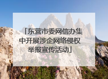 东营市委网信办集中开展涉企网络侵权举报宣传活动