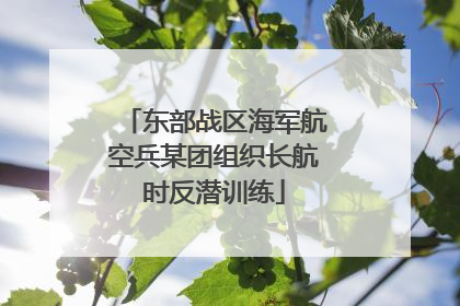 东部战区海军航空兵某团组织长航时反潜训练