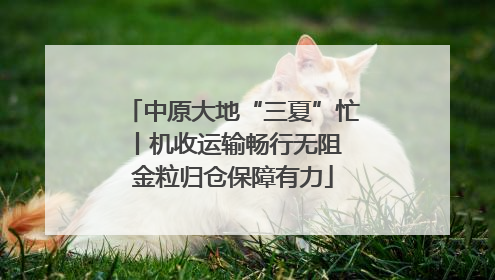 中原大地“三夏”忙丨机收运输畅行无阻 金粒归仓保障有力