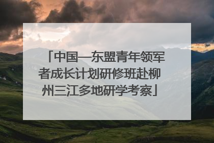 中国—东盟青年领军者成长计划研修班赴柳州三江多地研学考察