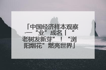 中国经济样本观察·一“业”成名丨“老树发新芽”！“浏阳烟花”燃亮世界