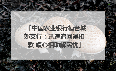 中国农业银行桓台城郊支行：迅速追回误扣款 暖心相助解民忧