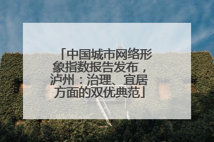 中国城市网络形象指数报告发布，泸州：治理、宜居方面的双优典范
