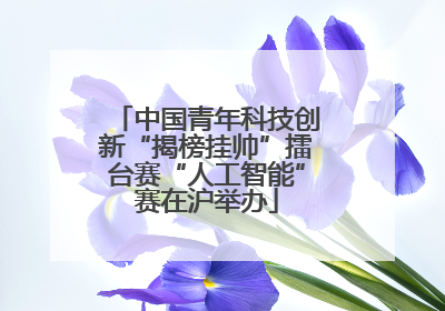 中国青年科技创新“揭榜挂帅”擂台赛“人工智能”赛在沪举办