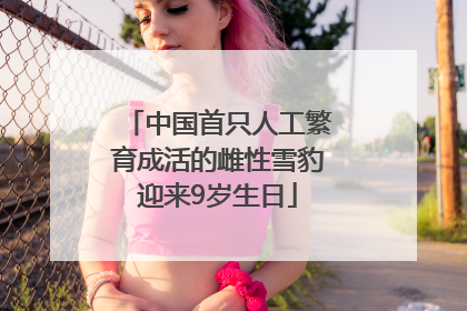 中国首只人工繁育成活的雌性雪豹迎来9岁生日