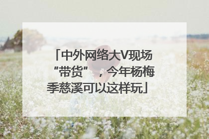 中外网络大V现场“带货”，今年杨梅季慈溪可以这样玩