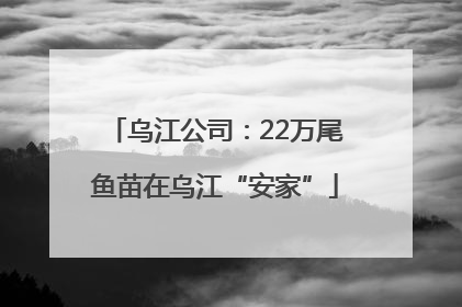 乌江公司：22万尾鱼苗在乌江“安家”