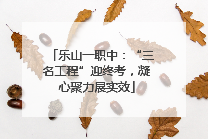 乐山一职中：“三名工程”迎终考，凝心聚力展实效