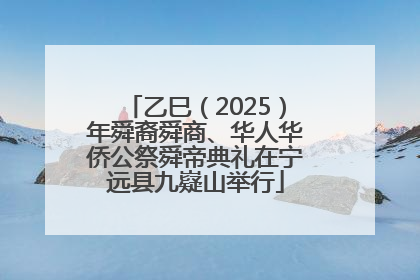 乙巳（2025）年舜裔舜商、华人华侨公祭舜帝典礼在宁远县九嶷山举行