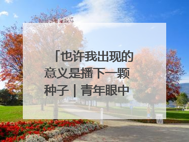 也许我出现的意义是播下一颗种子｜青年眼中的西部情缘