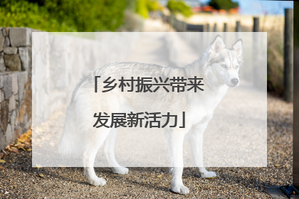 乡村振兴带来发展新活力