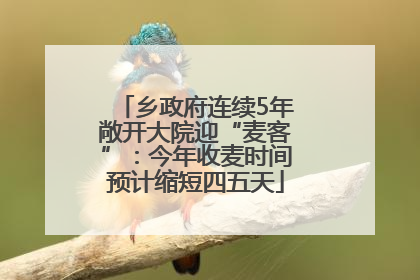 乡政府连续5年敞开大院迎“麦客”：今年收麦时间预计缩短四五天
