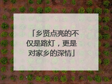 乡贤点亮的不仅是路灯，更是对家乡的深情