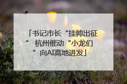 书记市长“挂帅出征” 杭州催动“小龙们”向AI高地进发