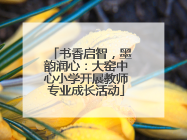书香启智，墨韵润心：大窑中心小学开展教师专业成长活动