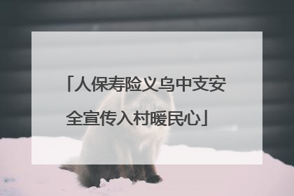 人保寿险义乌中支安全宣传入村暖民心