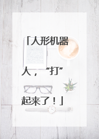 人形机器人，“打”起来了！