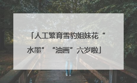 人工繁育雪豹姐妹花“水墨”“油画”六岁啦