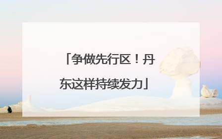 争做先行区！丹东这样持续发力