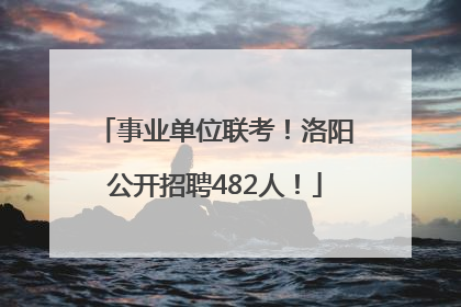 事业单位联考！洛阳公开招聘482人！