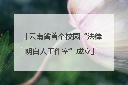 云南省首个校园“法律明白人工作室”成立