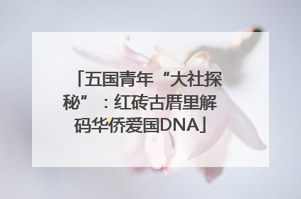 五国青年“大社探秘”：红砖古厝里解码华侨爱国DNA
