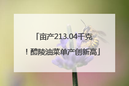 亩产213.04千克！醴陵油菜单产创新高