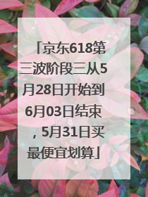 京东618第三波阶段三从5月28日开始到6月03日结束，5月31日买最便宜划算