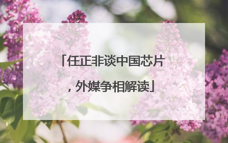 任正非谈中国芯片，外媒争相解读