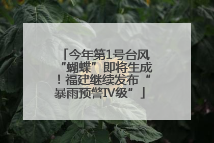 今年第1号台风“蝴蝶”即将生成！福建继续发布“暴雨预警Ⅳ级”