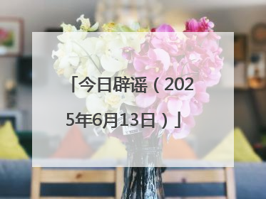 今日辟谣（2025年6月13日）