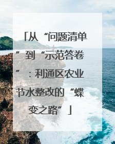 从“问题清单”到“示范答卷”：利通区农业节水整改的“蝶变之路”