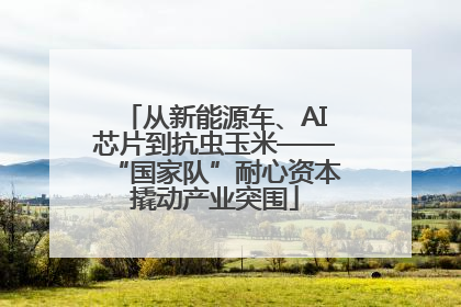 从新能源车、AI芯片到抗虫玉米——“国家队”耐心资本撬动产业突围