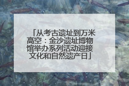 从考古遗址到万米高空：金沙遗址博物馆举办系列活动迎接文化和自然遗产日