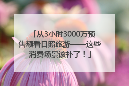 从3小时3000万预售额看日照旅游——这些消费场景该补了！