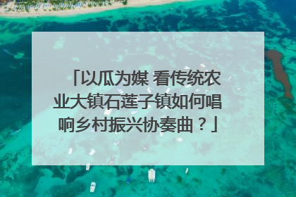 以瓜为媒 看传统农业大镇石莲子镇如何唱响乡村振兴协奏曲？