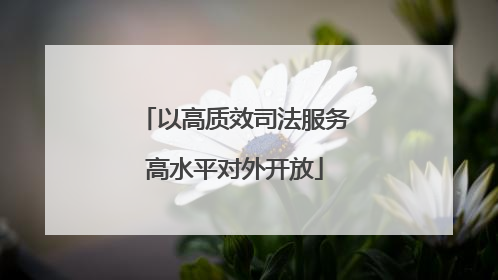 以高质效司法服务高水平对外开放