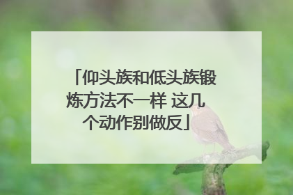 仰头族和低头族锻炼方法不一样 这几个动作别做反
