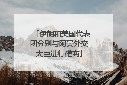 伊朗和美国代表团分别与阿曼外交大臣进行磋商