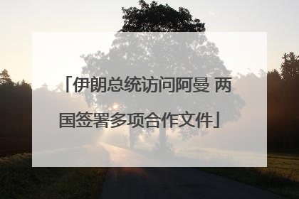 伊朗总统访问阿曼 两国签署多项合作文件