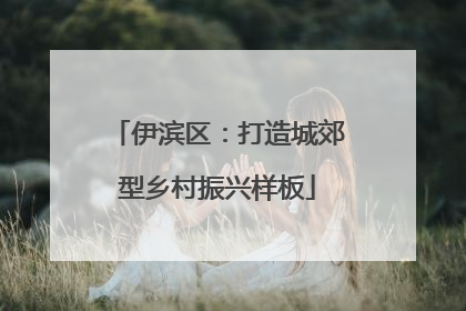 伊滨区：打造城郊型乡村振兴样板